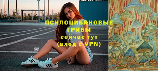 героин Абаза
